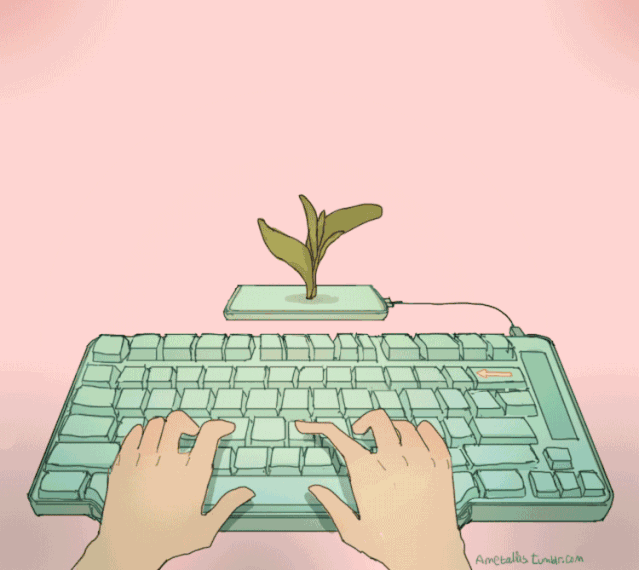 5.gif